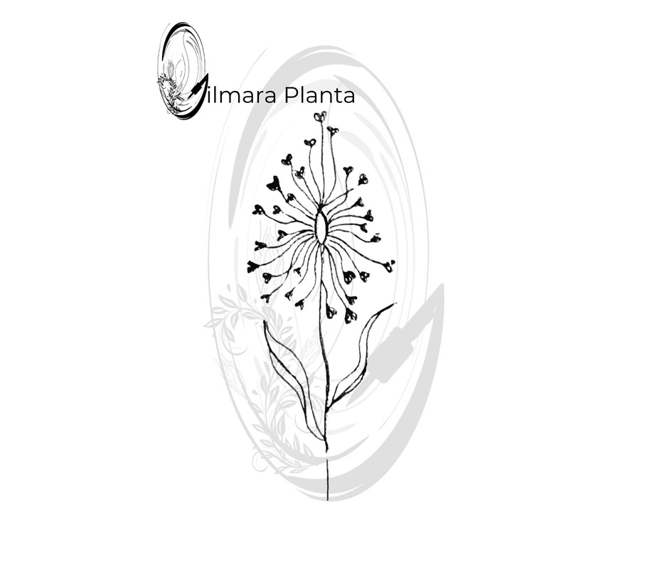 Atêlie Planta - Tatuagens Belo Horizonte) (26).JPG