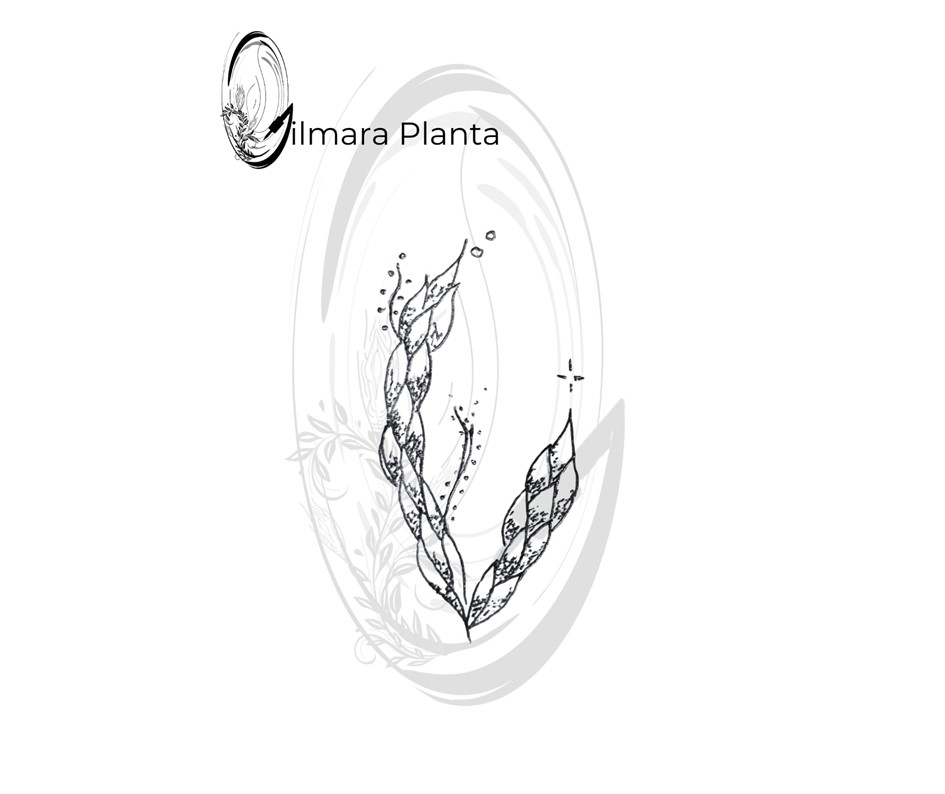 Atêlie Planta - Tatuagens Belo Horizonte) (28).JPG