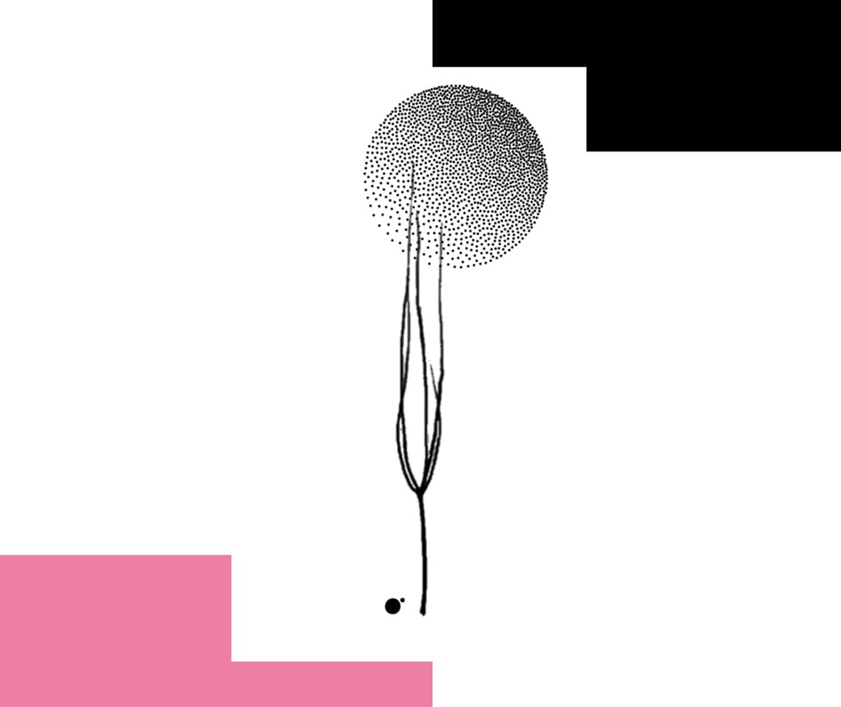 Atêlie Planta - Tatuagens Itabirito (11).JPG