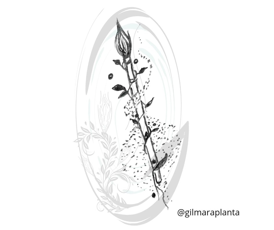 Atêlie Planta - Tatuagens Belo Horizonte) (6).JPG