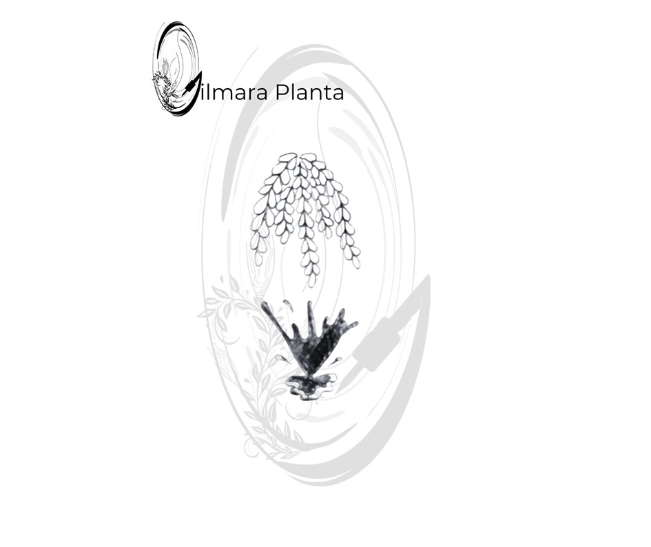 Atêlie Planta - Tatuagens Belo Horizonte) (23).JPG