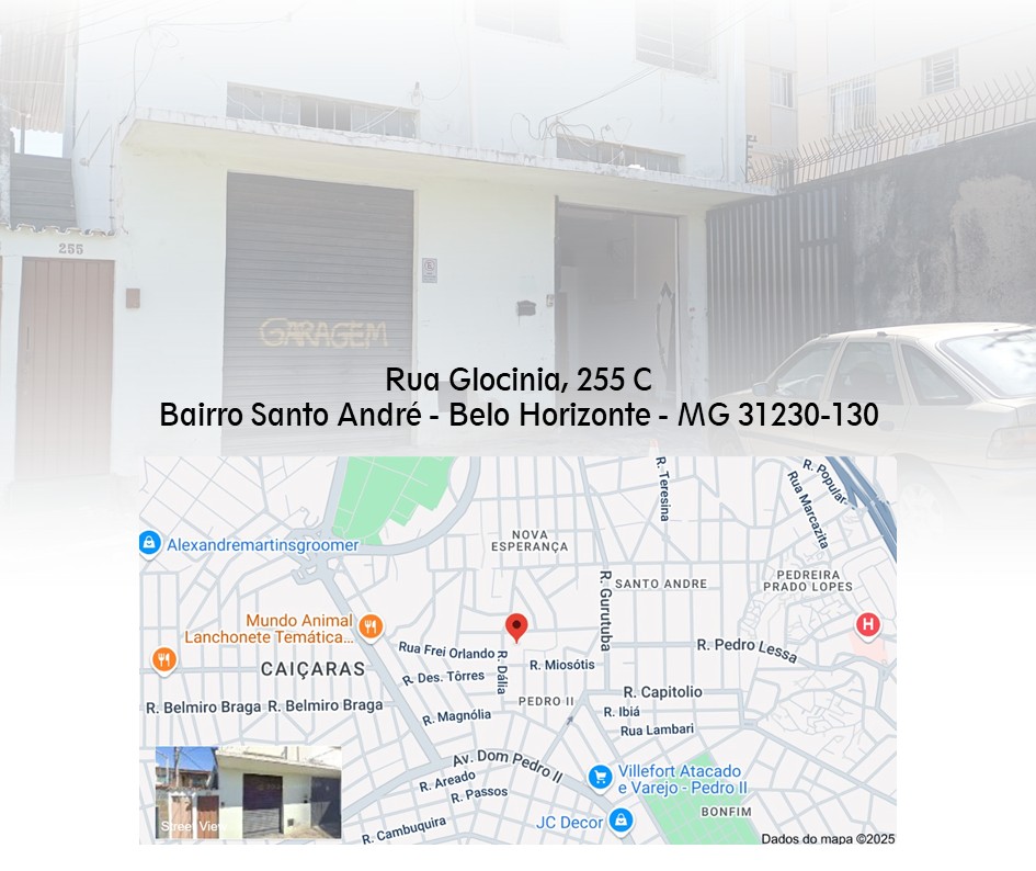 Atêlie Planta - Tatuagens Belo Horizonte) (8).JPG