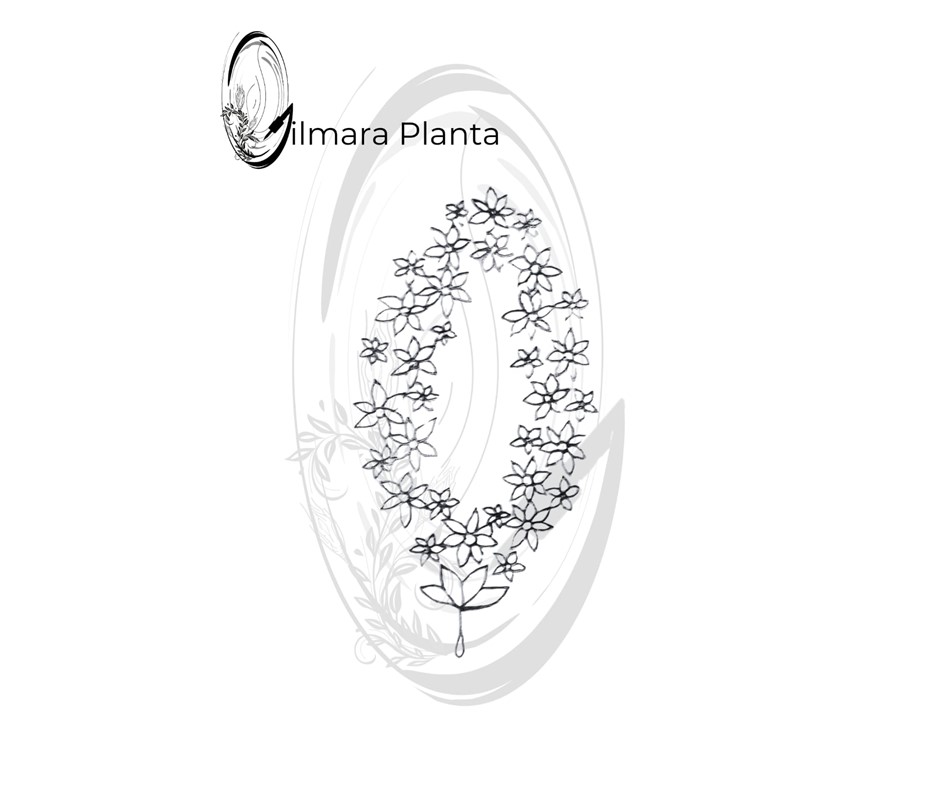 Atêlie Planta - Tatuagens Belo Horizonte) (27).JPG