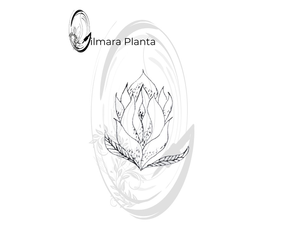 Atêlie Planta - Tatuagens Belo Horizonte) (25).JPG