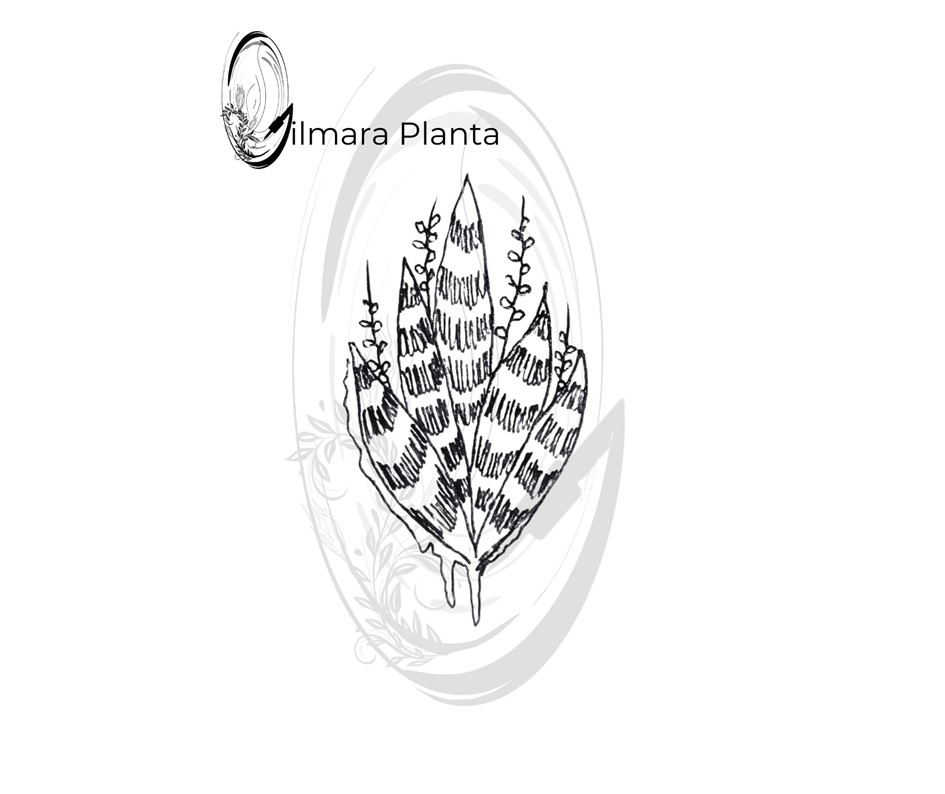 Atêlie Planta - Tatuagens Belo Horizonte) (29).JPG