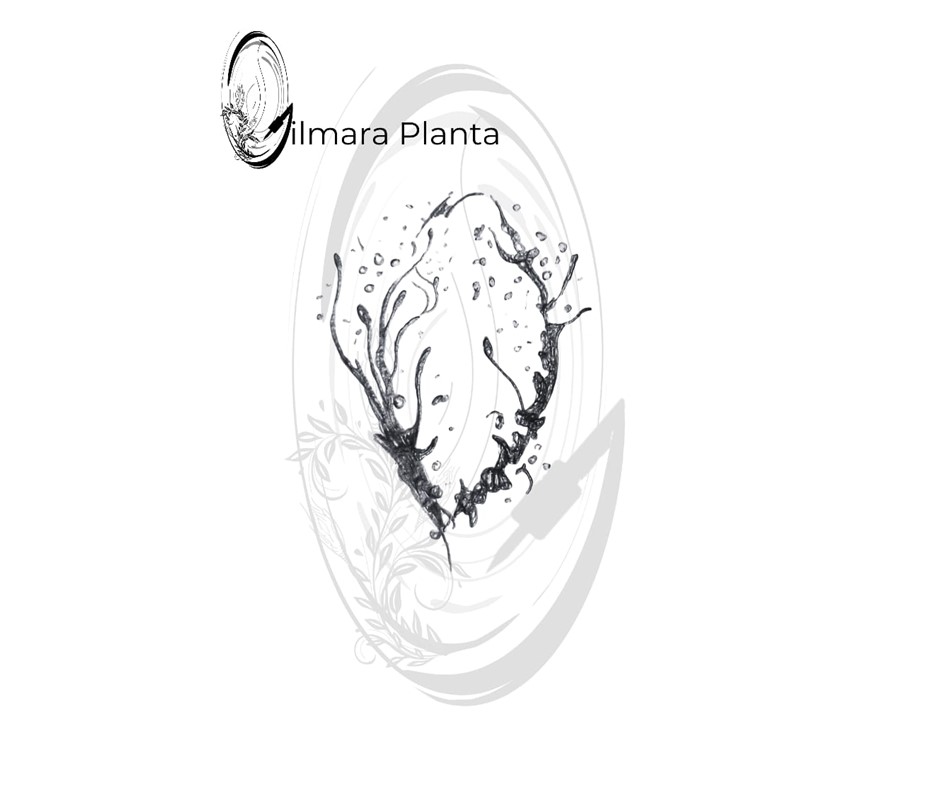 Atêlie Planta - Tatuagens Belo Horizonte) (15).JPG